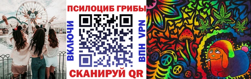 Галлюциногенные грибы прущие грибы  Купить закладки  Химки 